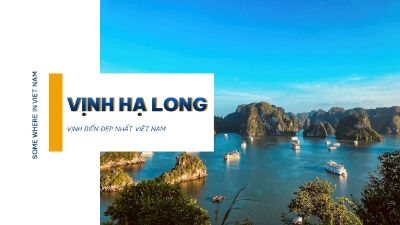 Bài tập giữa kỳ