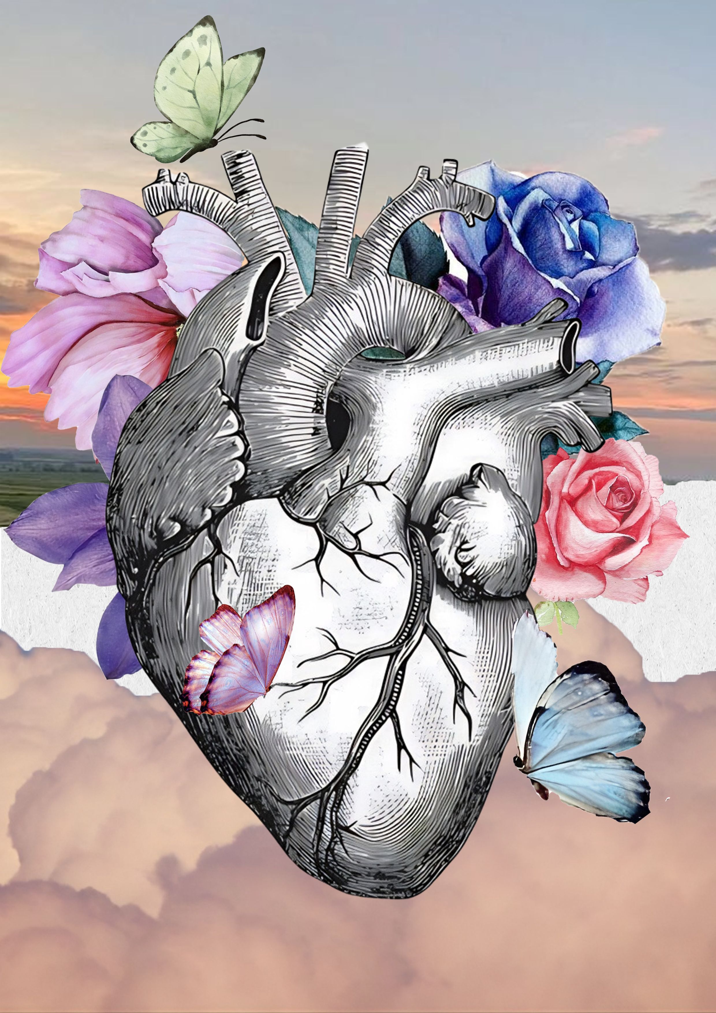 Heart
