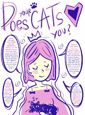 DOES YOUR CATS LOVE YOU?