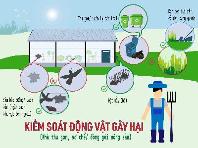 BTCK - Nguyễn Tuấn Nhẫn - Ai 99.911 SG