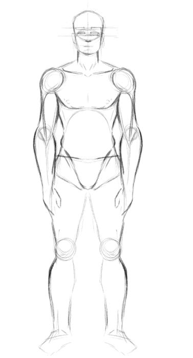 Anatomy