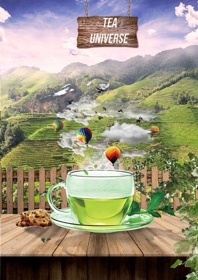 Bài tập cuối kì