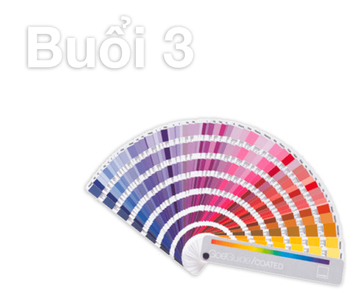 Buổi 3 INDESIGN - Trung
         tâm thiết kế đồ họa ColorME