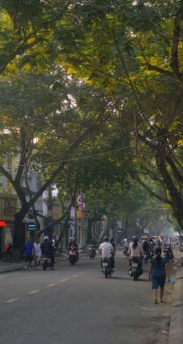 Lê Anh_Đường dẫn