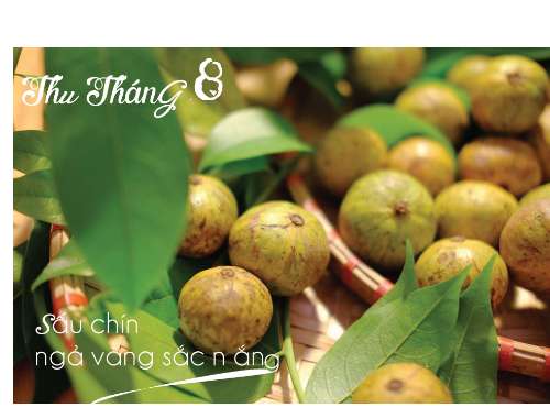 BTVNB3-Nguyễn Thị Phượng-AI56.3                           