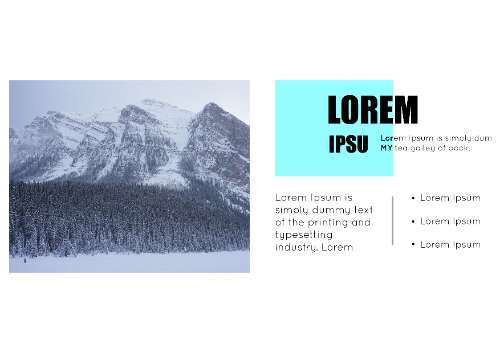 LAYOUT
