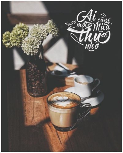 Typography