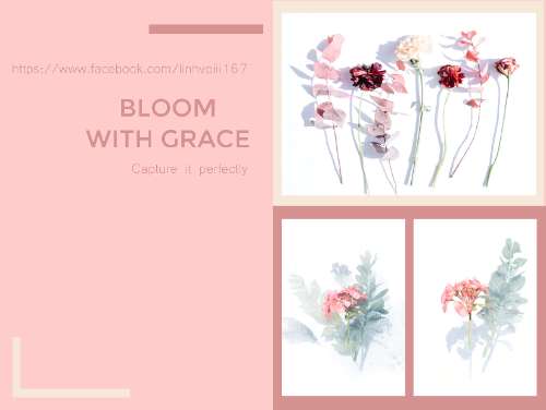 LAYOUT - Flowers