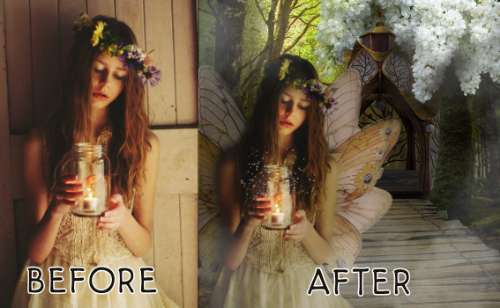 fairy 