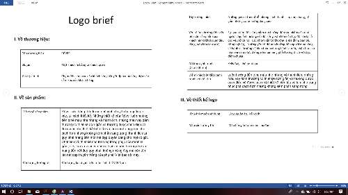 Logo Brief