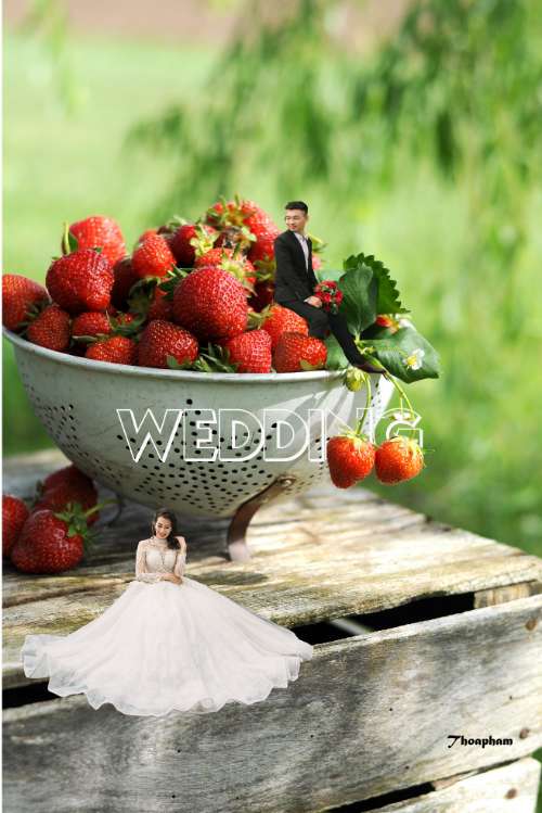 Tiny wedding Photography