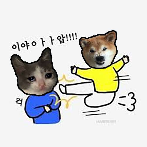 BT #1: doge sut' cate
