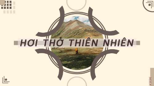 THIẾT KẾ LAYOUT _ MIKA NGÔ