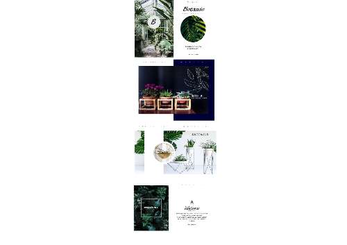 Layout