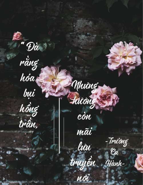 typography trường ca hanh