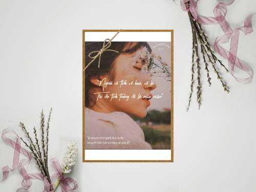 Bài tập buổi 3