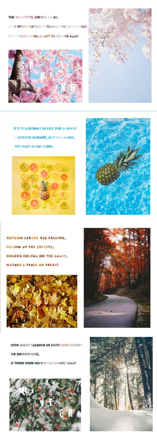 4 SEASONS