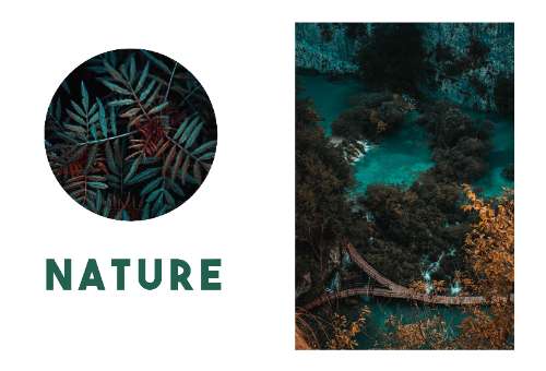 Sử dụng Clipping Mask và Reference Layout