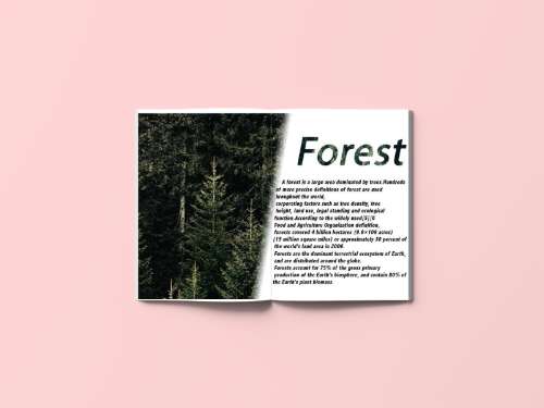 clipping mask và layer mask