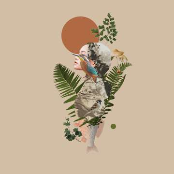 collage  Art