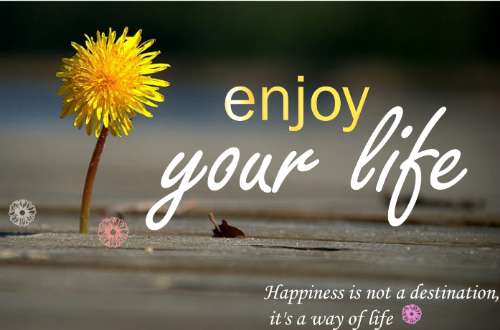 Enjoy your life
