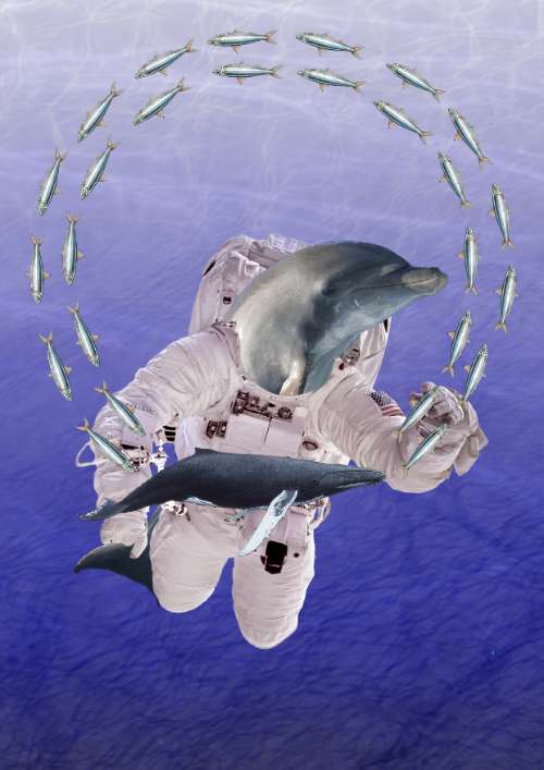 BTVN3