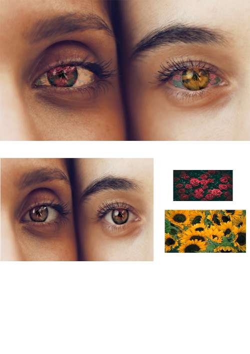 flowers in your eyes