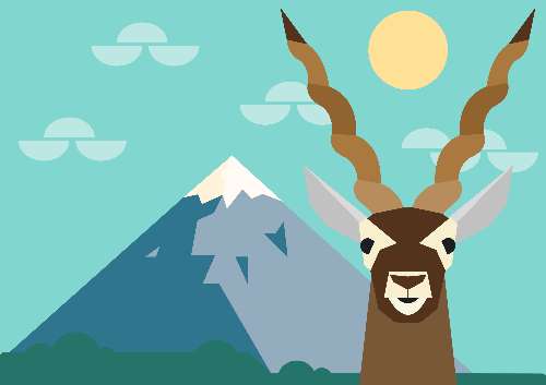 Blackbuck on Mountain