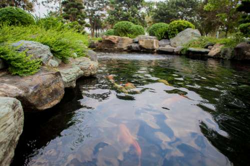 Bài tập cuối khóa ( Ngoại cảnh + Studio )