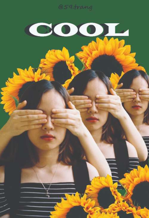 Sử dụng cắt ghép