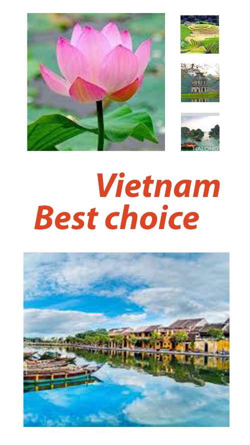 Layout 