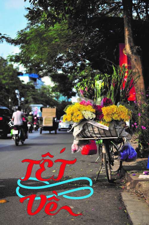 viết chữ lên ảnh