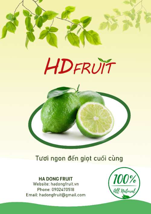 ha dong vo dich 