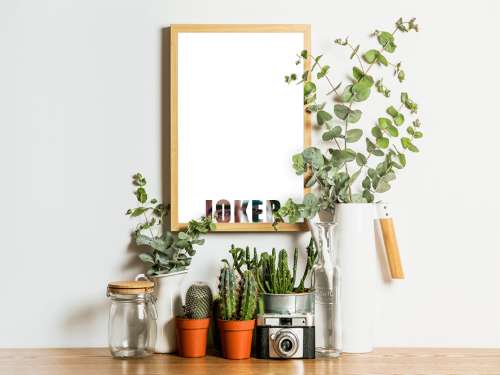 Typography