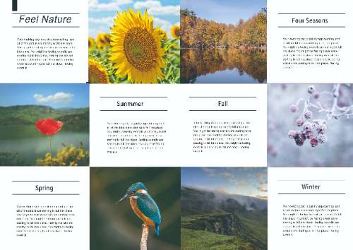 TRAVEL LAYOUT DESIGN