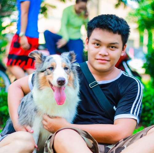 Ảnh chụp đứa em họ vs con Pet & ảnh chụp Ông nội