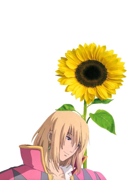 boyoverflower