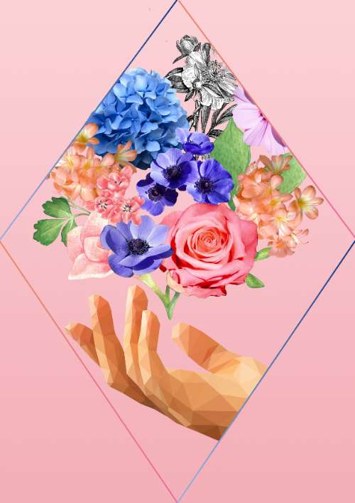 Bài tập Collage và Màu
