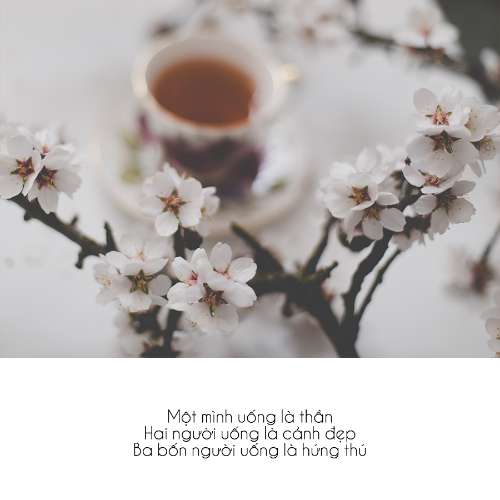 Sử dụng clipping mask