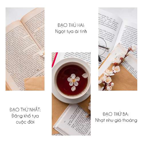sử dụng clipping mask