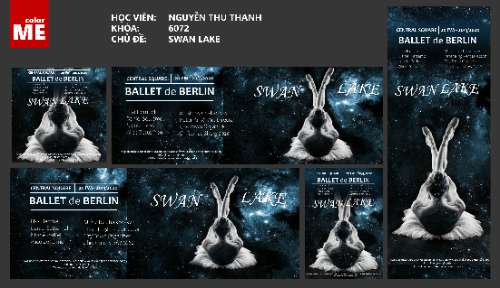 BTCK_Swan Lake