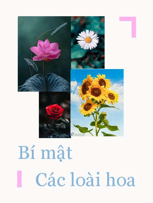 BTVN buổi 4