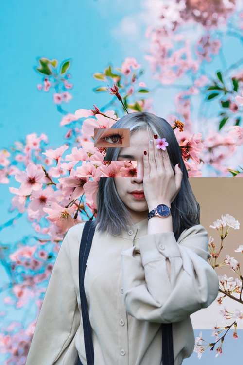 công cụ cắt ghép cơ bản