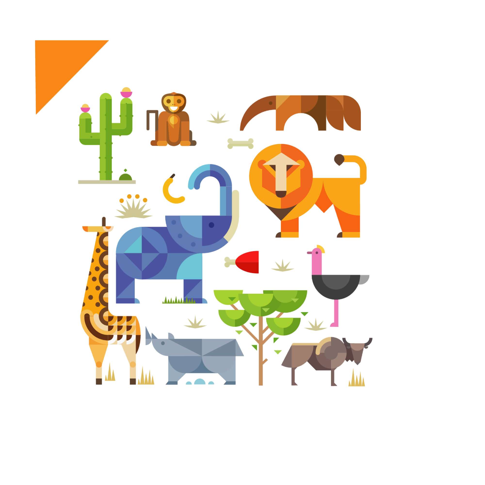 VẼ SHAPE