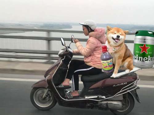 BT buổi 1 