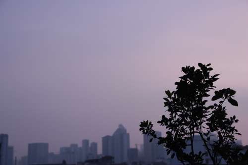 Bài tập buổi 1