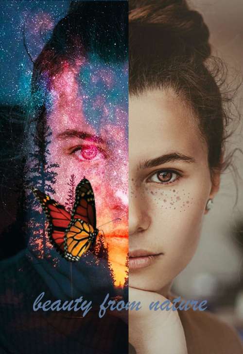 nature 