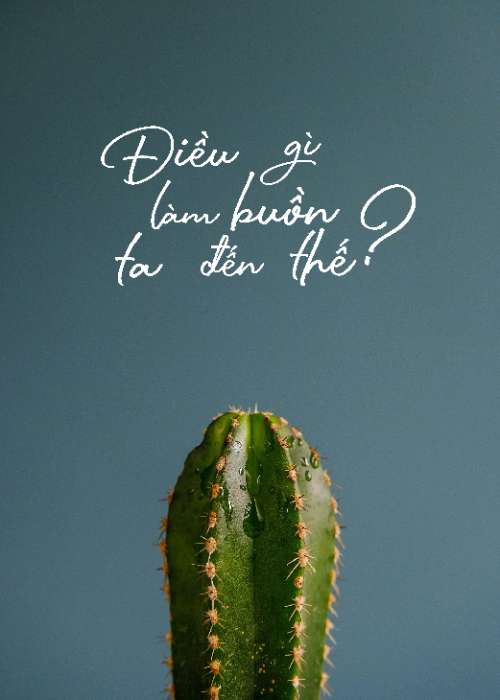 Typography