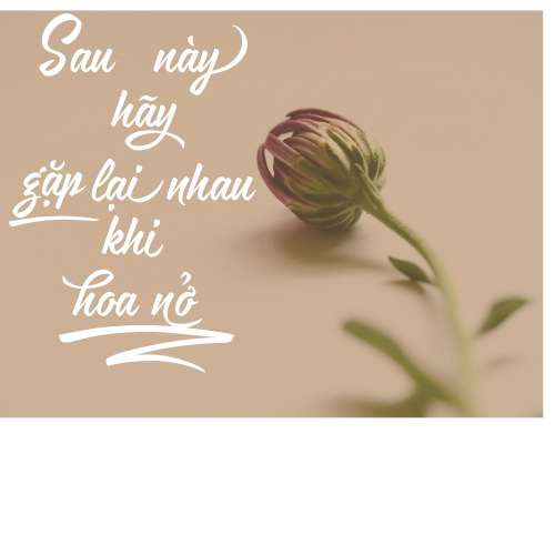 typo