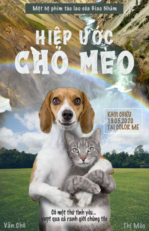 POSTER PHIM